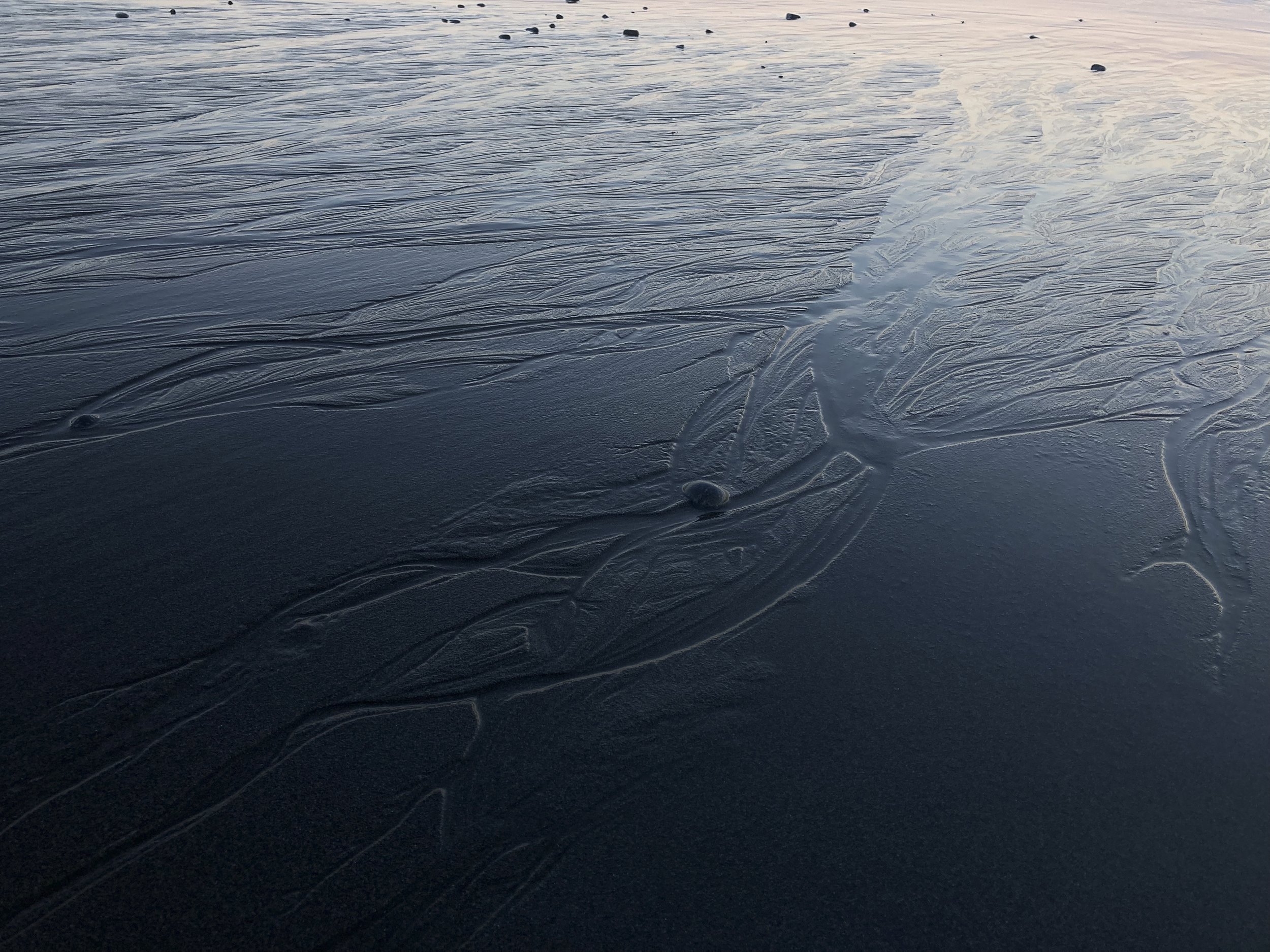 back_to_the_sea.jpg