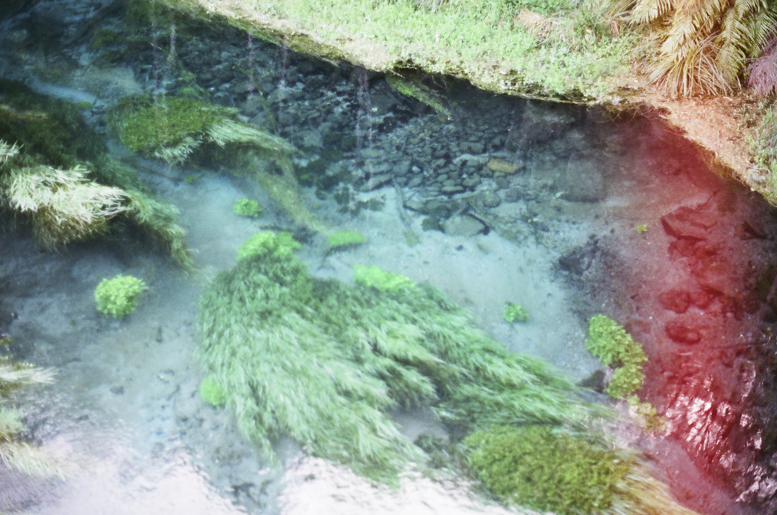 bluespringputaruru.jpg