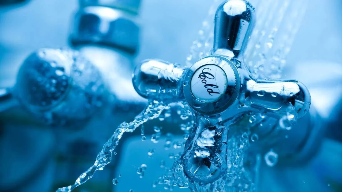 Cold Exposure, Inflammation &amp; Immune Function.