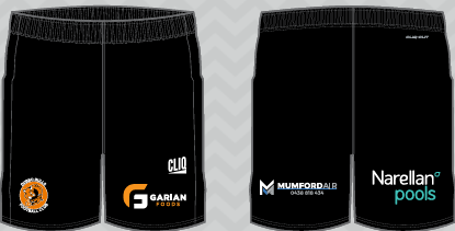 26/27 Playing Shorts - Senior's