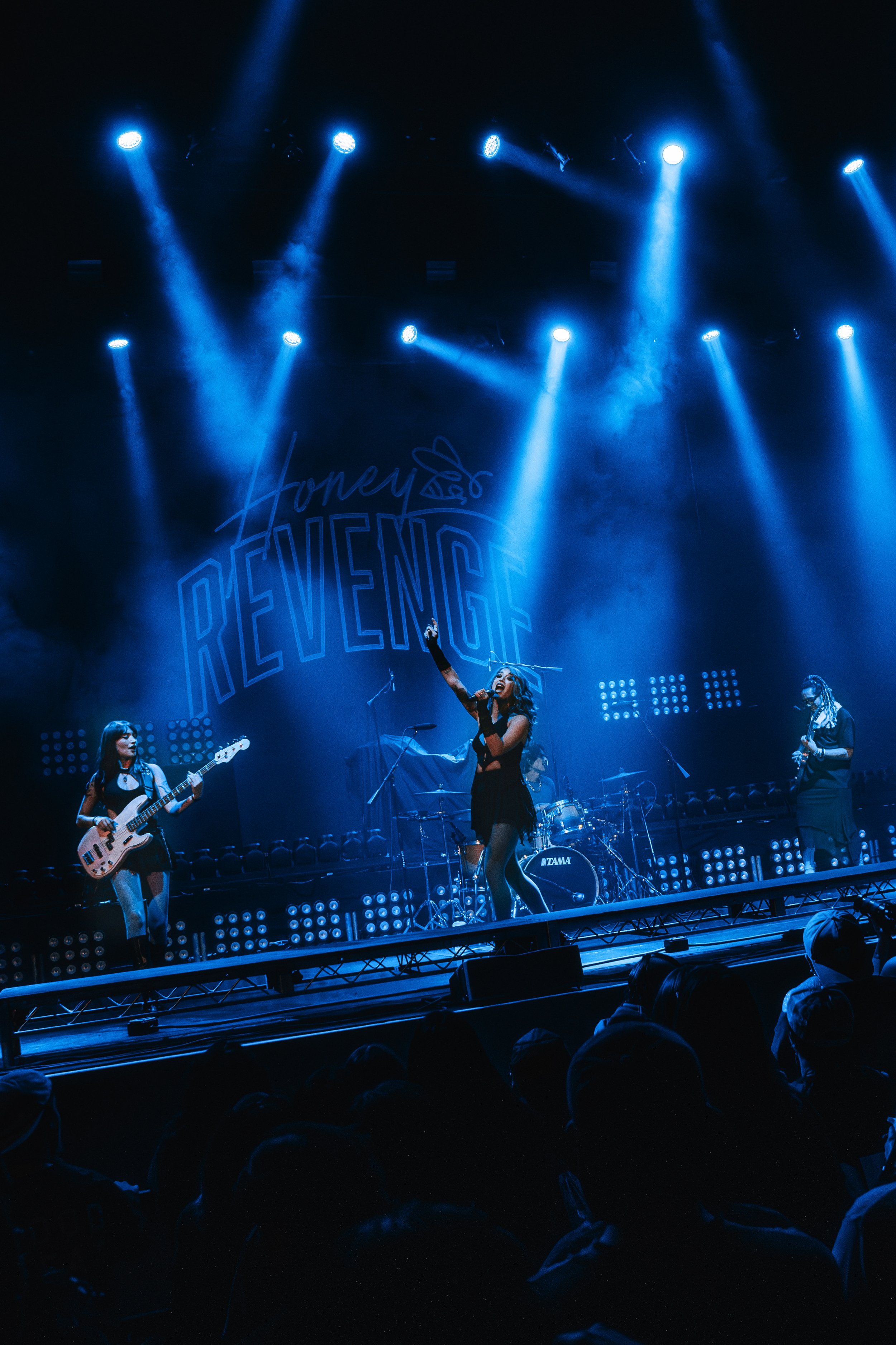 honey revenge-02 copy.jpg