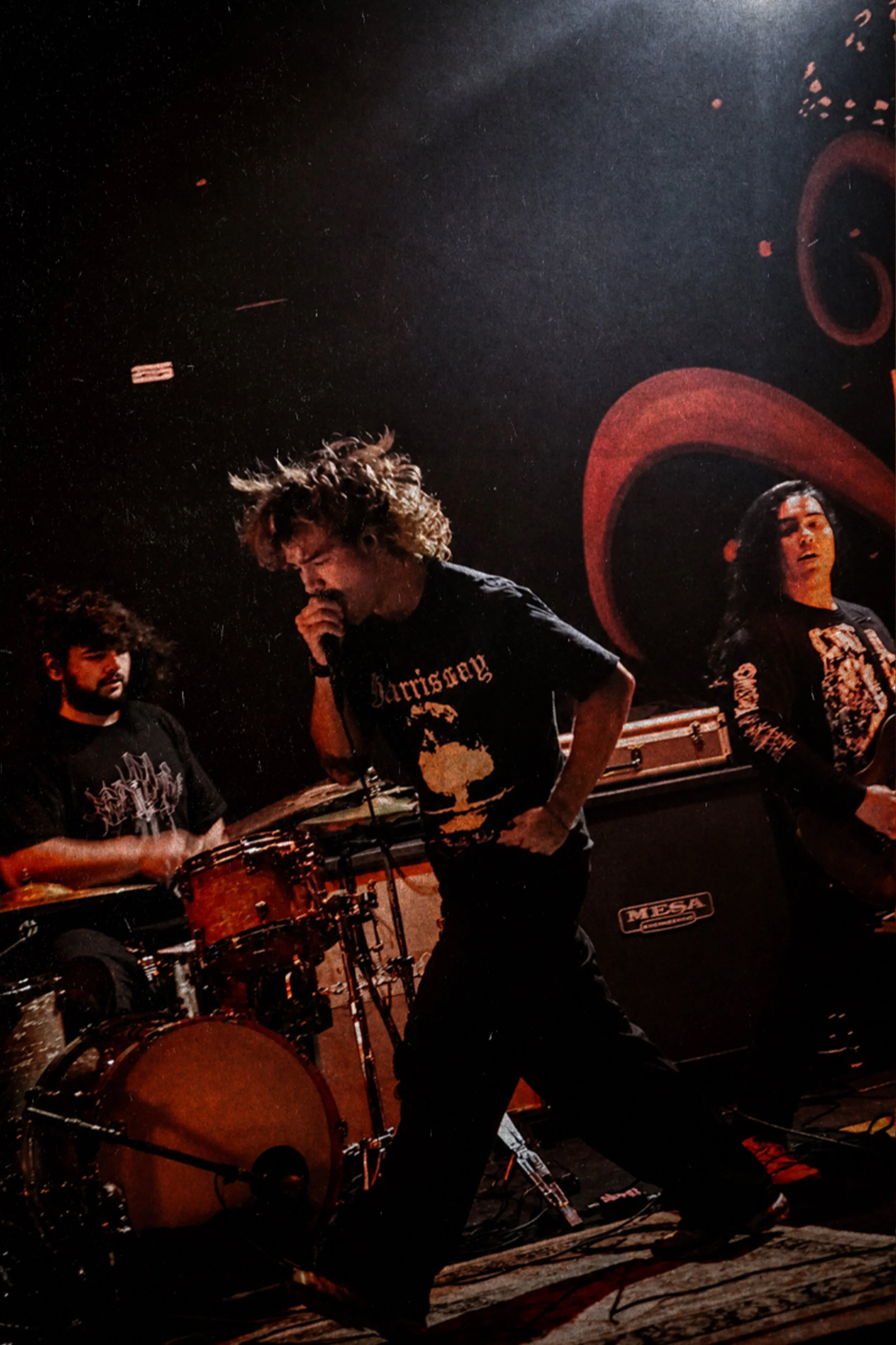 ofel-4 copy.jpg