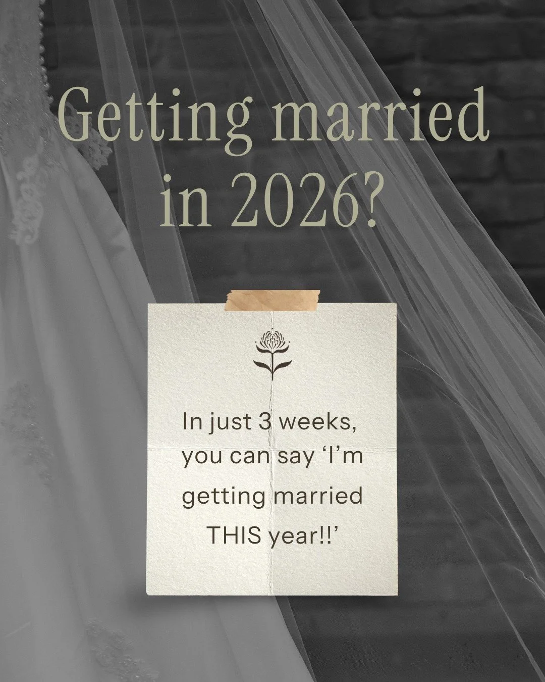 2026 couples, you're up! ✨

2025 was so full of joy, and I have so much gratitude for the couples who allowed me to play a small role in their day. I'm already excited for all of the love ahead!

&bull;&bull;&bull;
#2026couples #2026bride #2026weddin