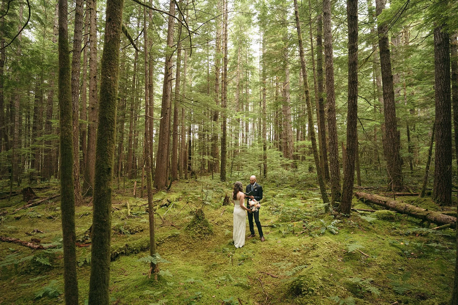 Into the forest for private vows...
A+C had a moment to themselves before we met their loved ones for an intimate ceremony. They booked an elopement package, so I planned their day + brought them together in marriage. 
They decided they wanted a 'fir