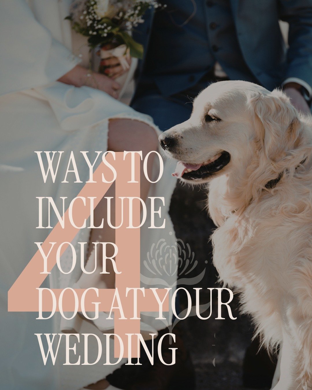 Cutie patooties. The goodest wedding guests. 

#dogsatweddings #weddingdogs #dogsofsquamish