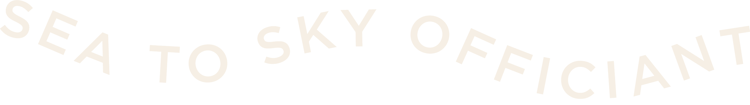 Curved text reading 'SEA TO SKY OFFICIANT'