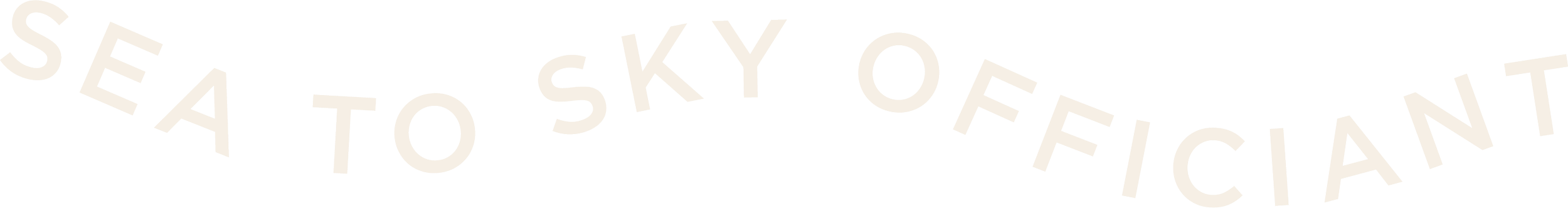 Curved text reading 'SEA TO SKY OFFICIANT'