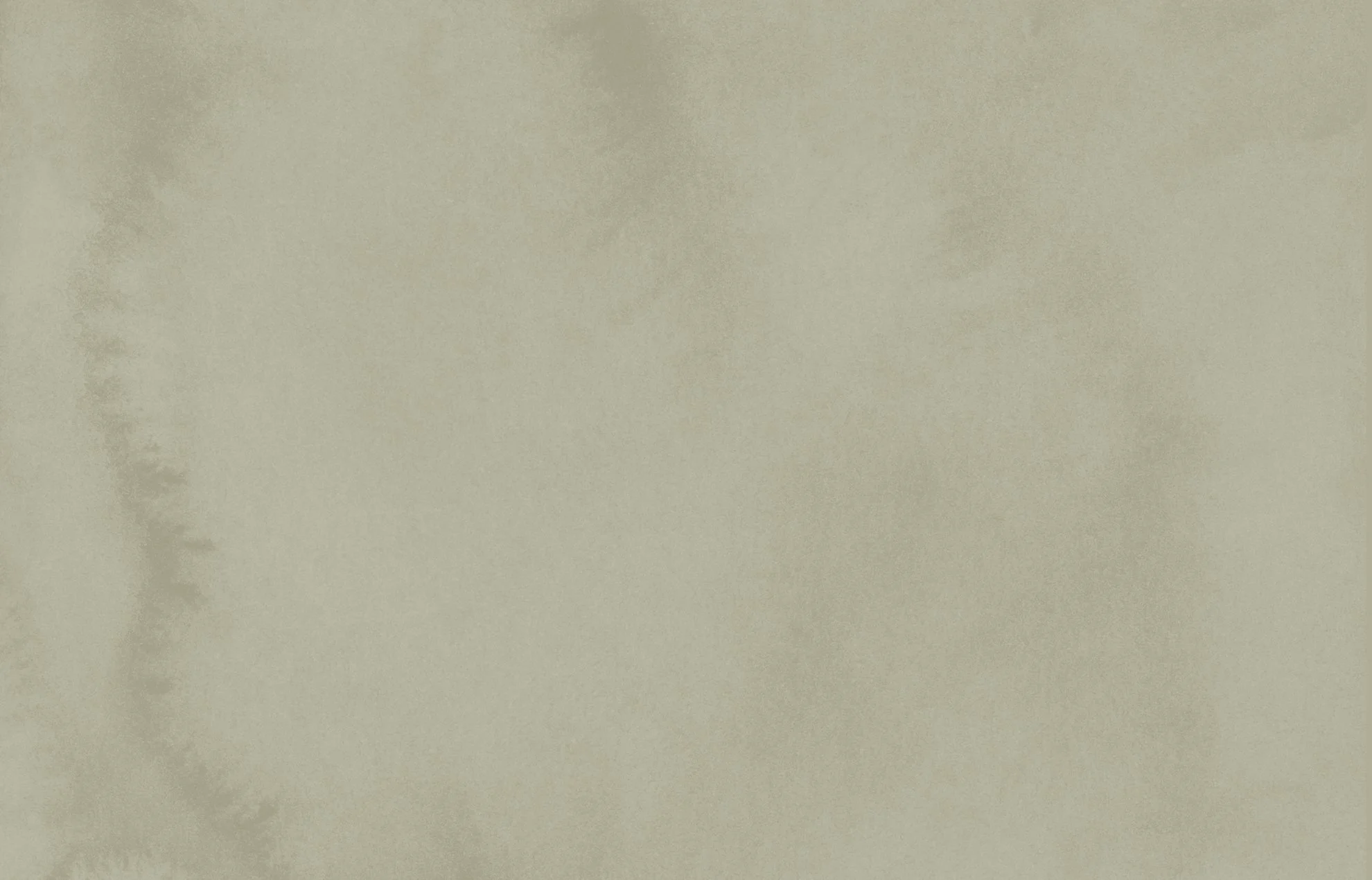 Close-up of a green textured paper