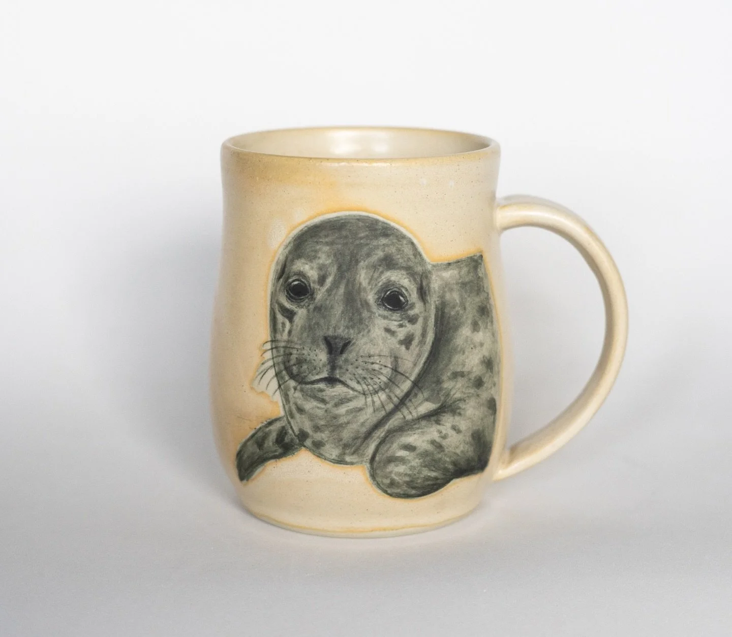 Zeus!🦭 Our first harbour seal pup at Marine Mammal Rescue Society @vammrs this year. 
He was found alone, hypothermic, lethargic, with remnants of umbilical cord and a full coat of lanugo hair&hellip; swipe to see some photos (all courtesy of MMR) o