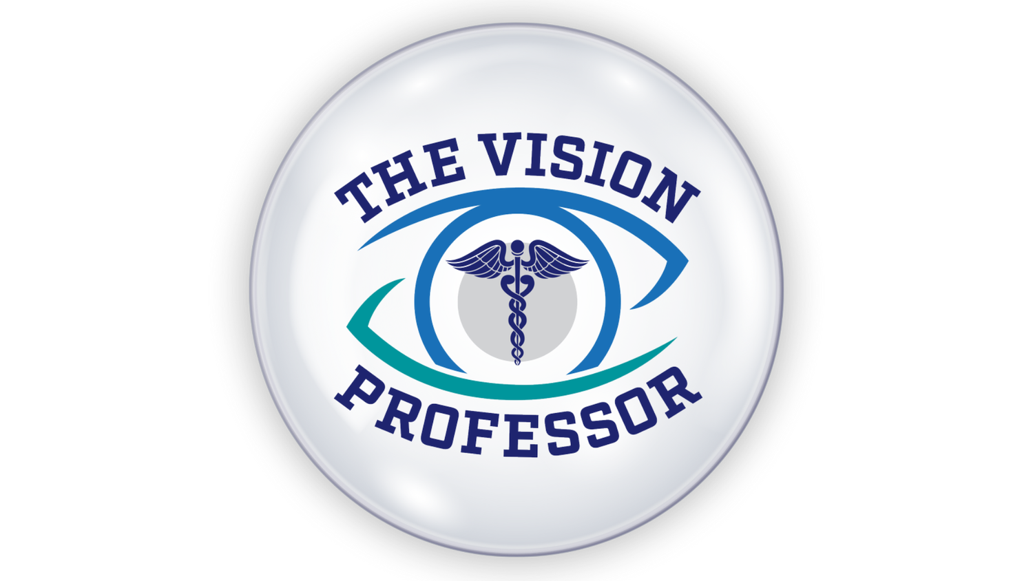 The Vision Professor