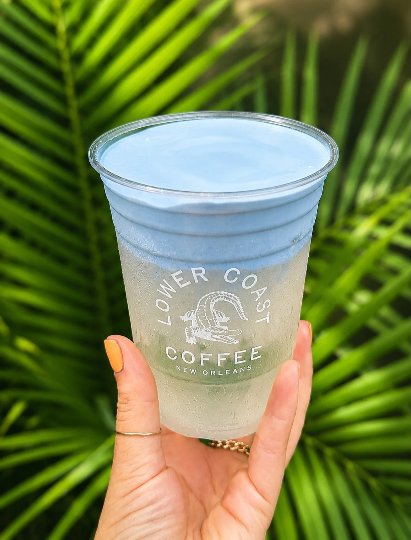 MONDAY FORECAST: SKIES OF BLUE 💙☁️

Thank you for patiently waiting for us to release our blue drink! 

We&rsquo;re excited to introduce the first drink in our new LOWER COAST CLOUD Series: 

🦋 Butterfly Cloud 🦋
A refreshing iced coconut water dri