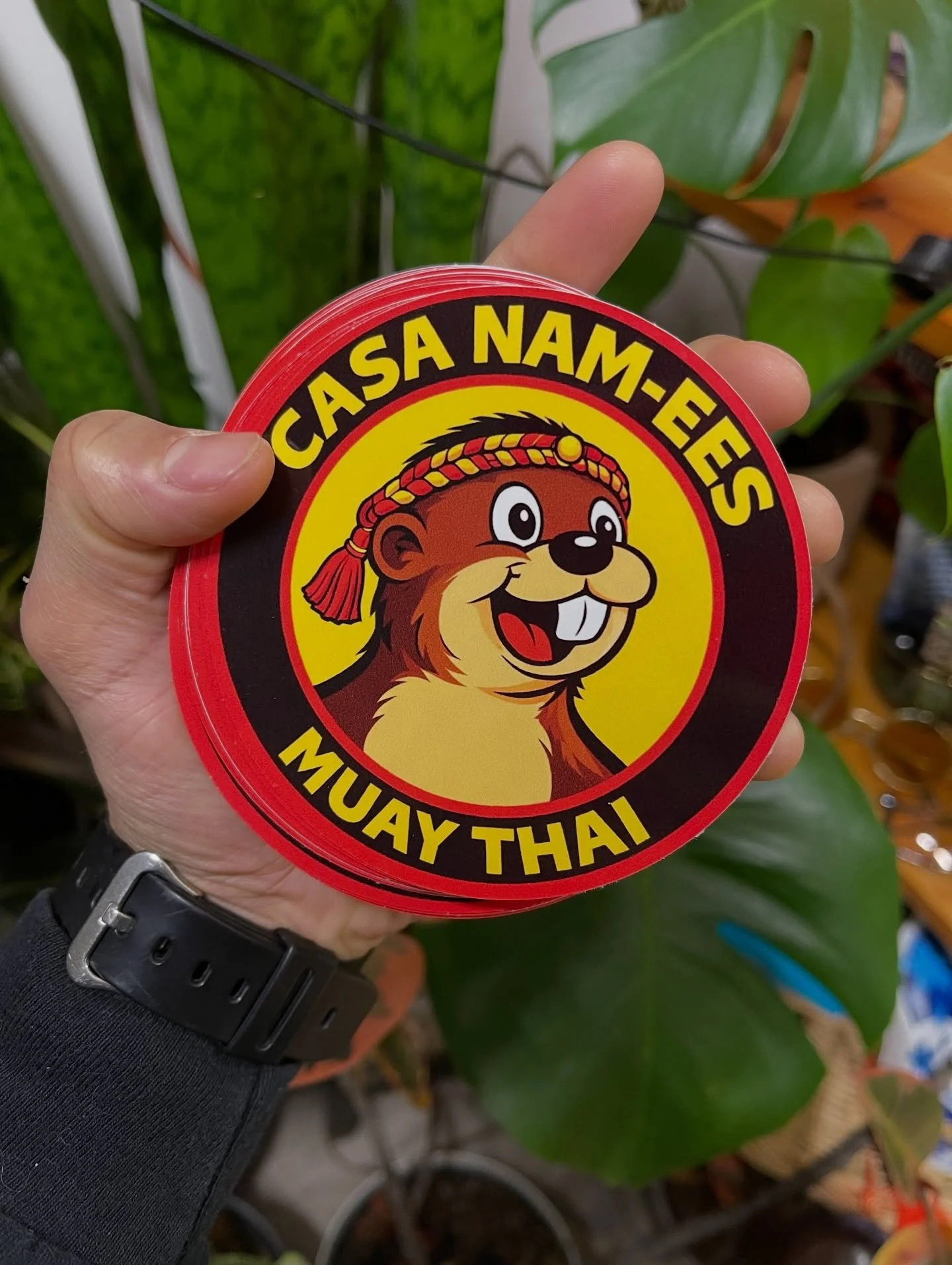 Look good, feel good, fight good! 🔥

We&rsquo;ve got merch and would love to see y&rsquo;all rocking it, supporting your boy and his gym. 

Stickers are $3, shirts go for $30 and hoodies for $50

I&rsquo;ll be at MTAAC this weekend and MDL the follo