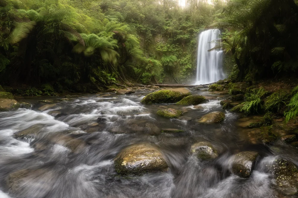 A rainforest waterfall with moss-covered rocks