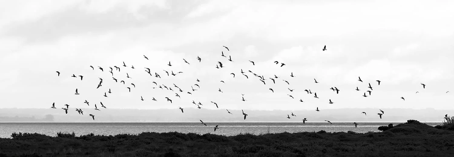 WhatsApp Image 2024-03-22 at 12.02.37 AM.jpeg