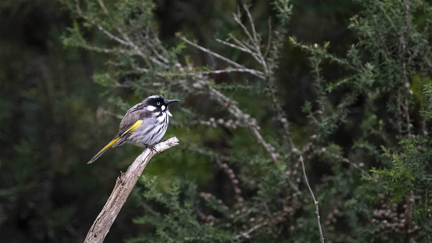 WhatsApp Image 2024-03-21 at 9.49.32 PM.jpeg