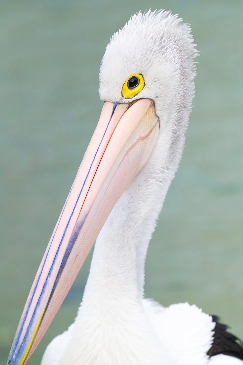 WhatsApp Image 2024-03-21 at 9.49.34 PM.jpeg