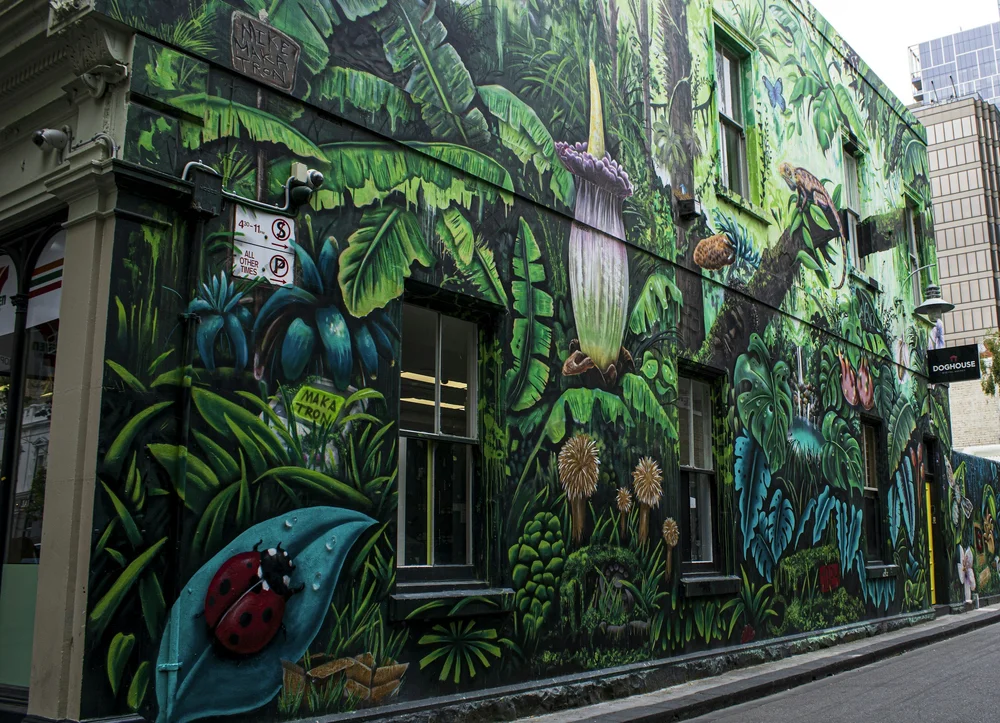 Street art covering a laneway wall in Melbourne