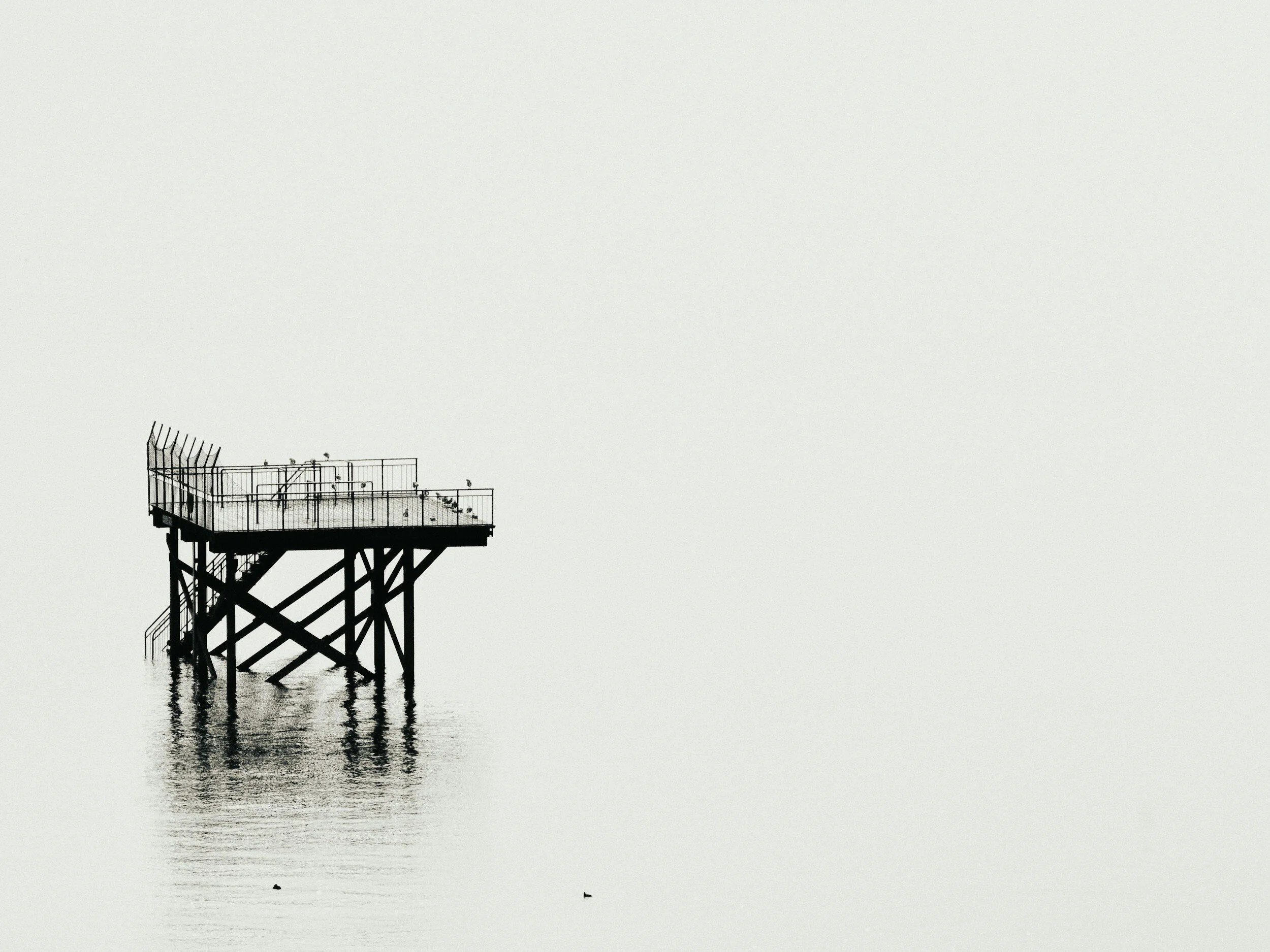 Negative space in photography: why less makes photos stronger