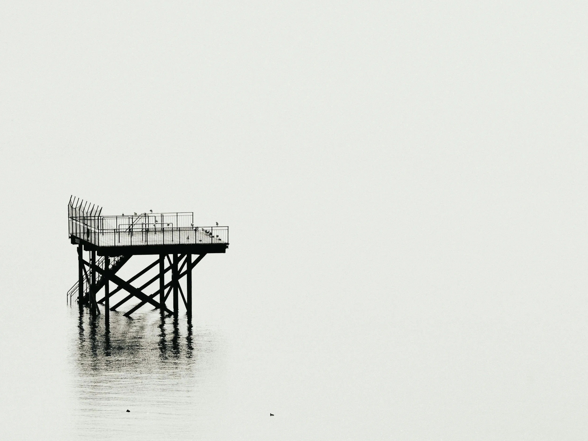 Negative space in photography: why less makes photos stronger