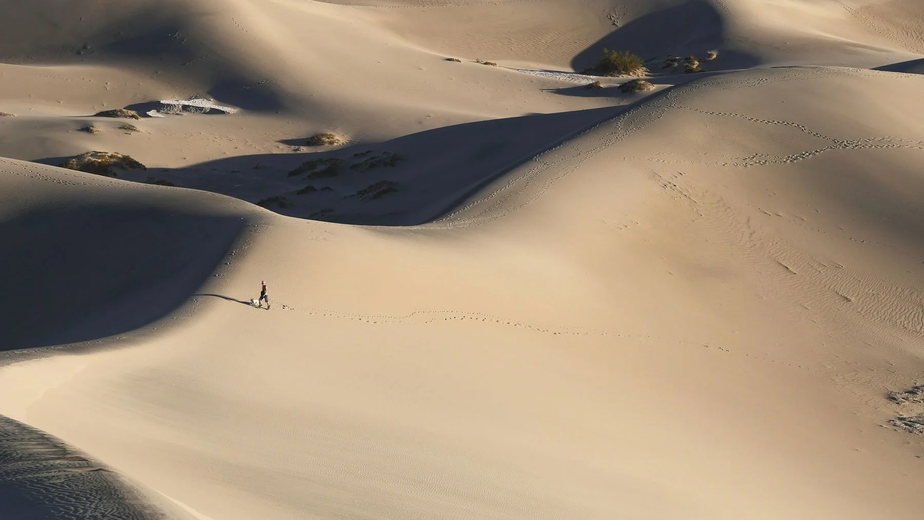 Soft light across sand dunes
