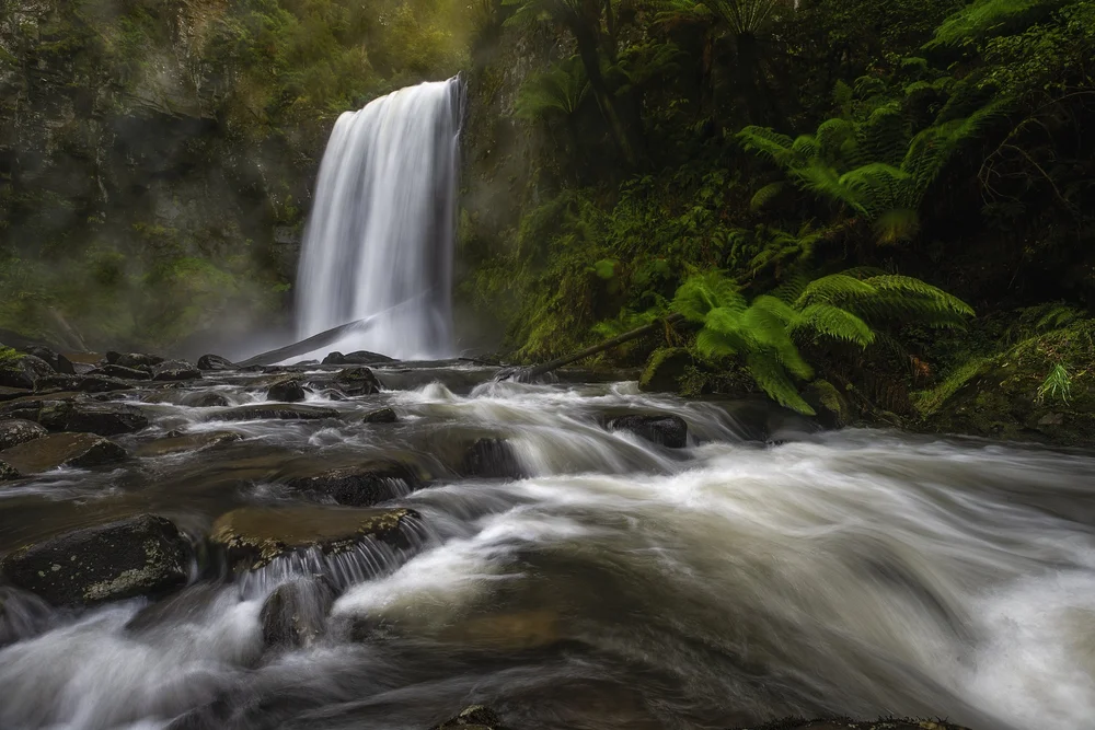 Rainforest waterfall in the Great Otway National Park