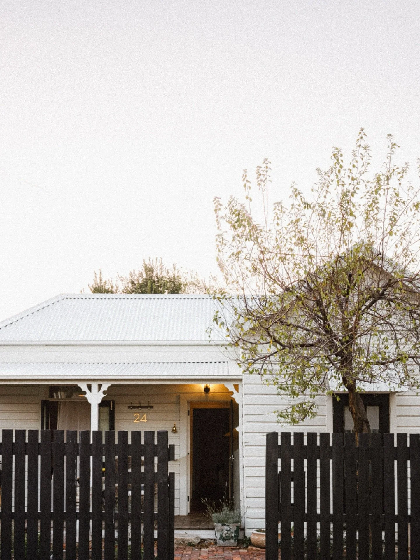 Last moments of afternoon light spent with La&rsquo;Loft in the backstreets of Mudgee 

- 

@ecohosting_bluemountains