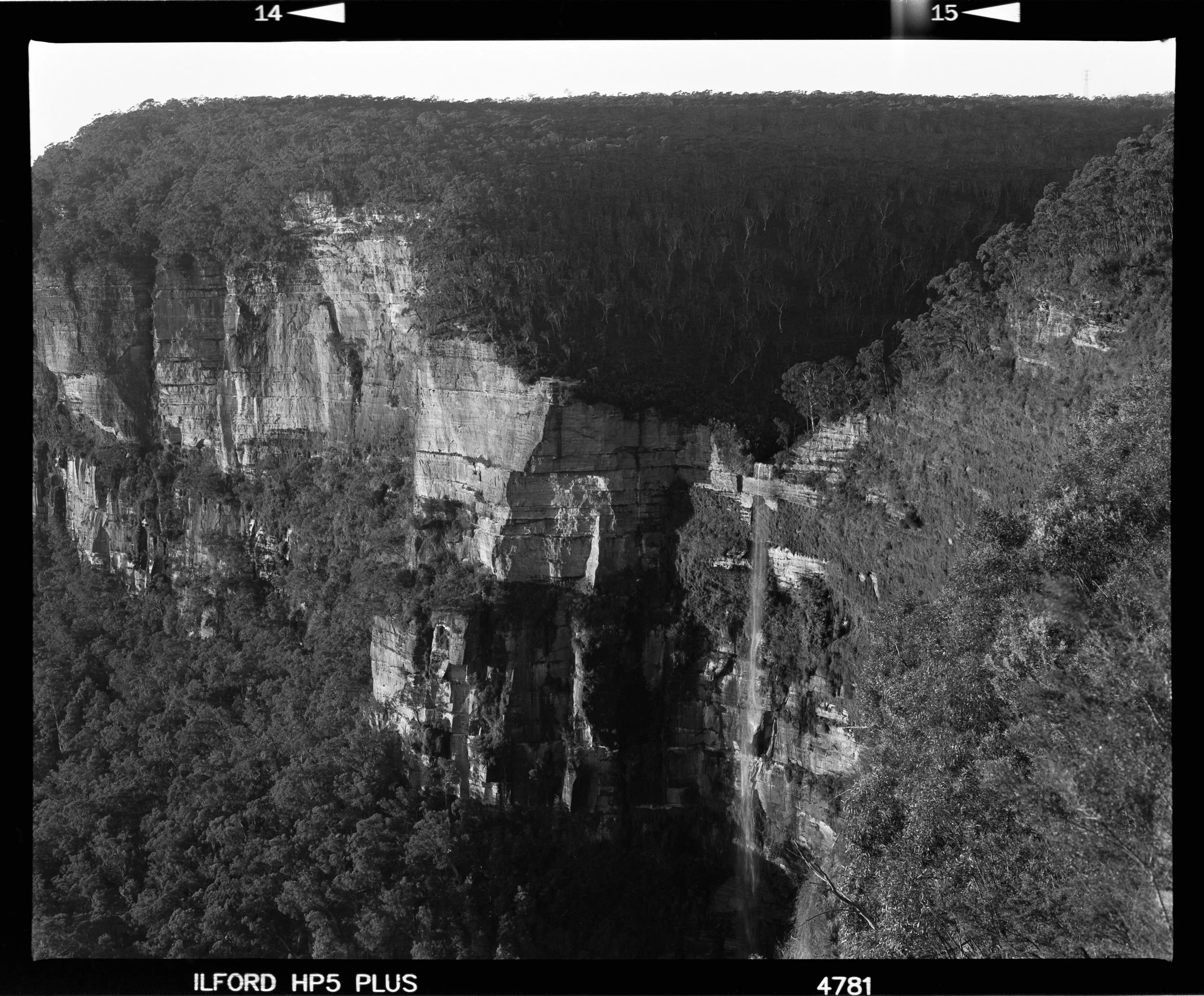 A black and white landscape photograph of a forested area on a hillside with exposed rock formations, captured on a large-format film with markings at the top and bottom including text 'ILFORD HP5 PLUS' and the numbers 14, 15, 4781.