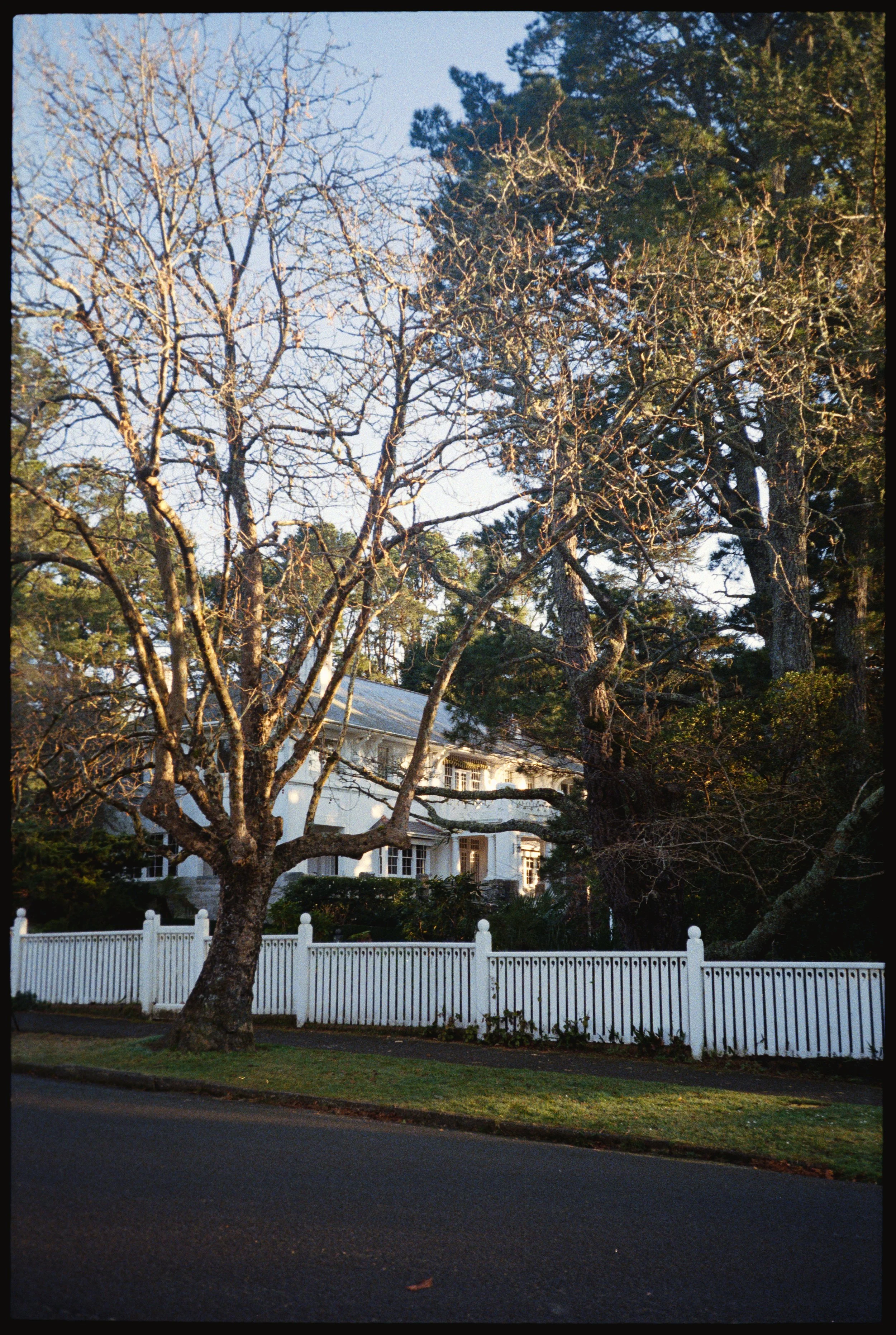 ELYSIANROCK_CANONSURESHOT_KODAKGOLD_1.JPG