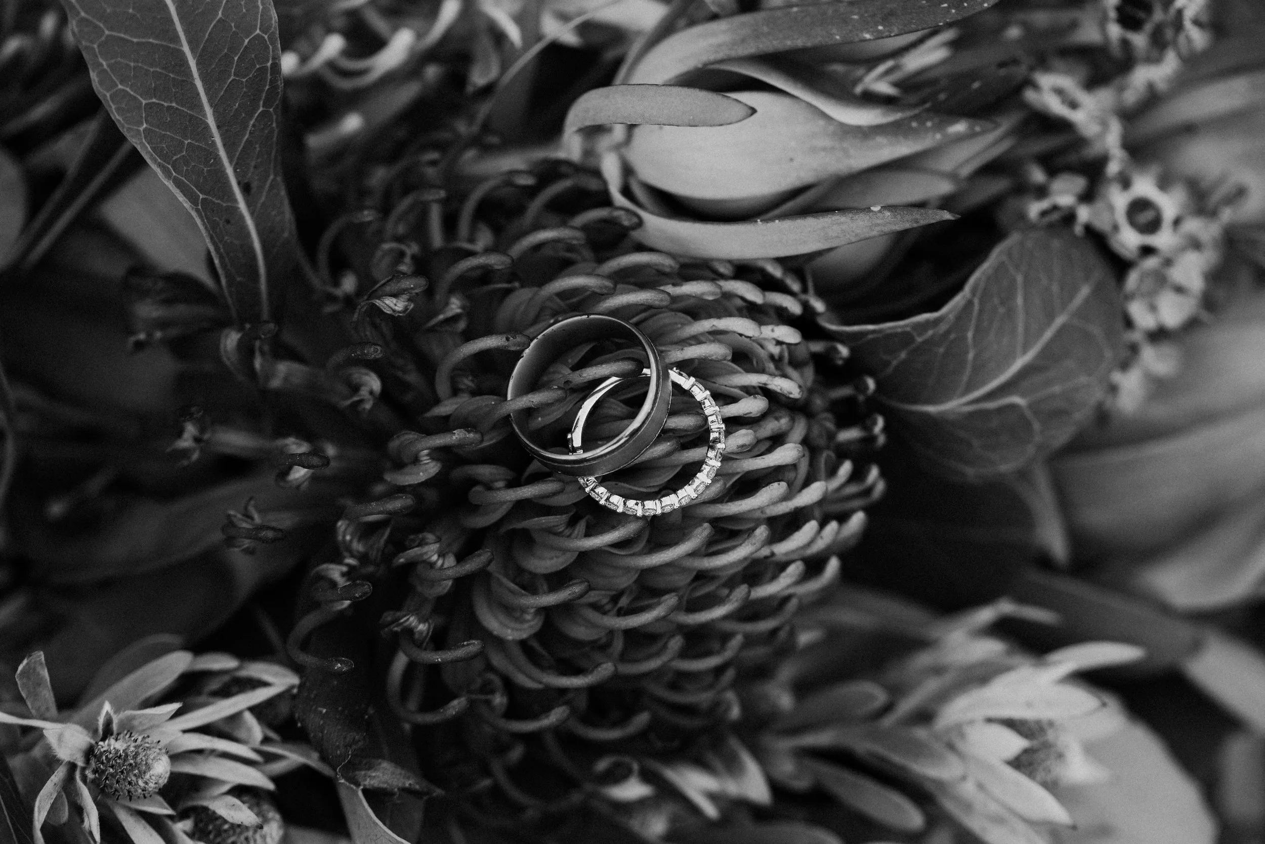 AMANDA&JOSH_WEB_144.JPG