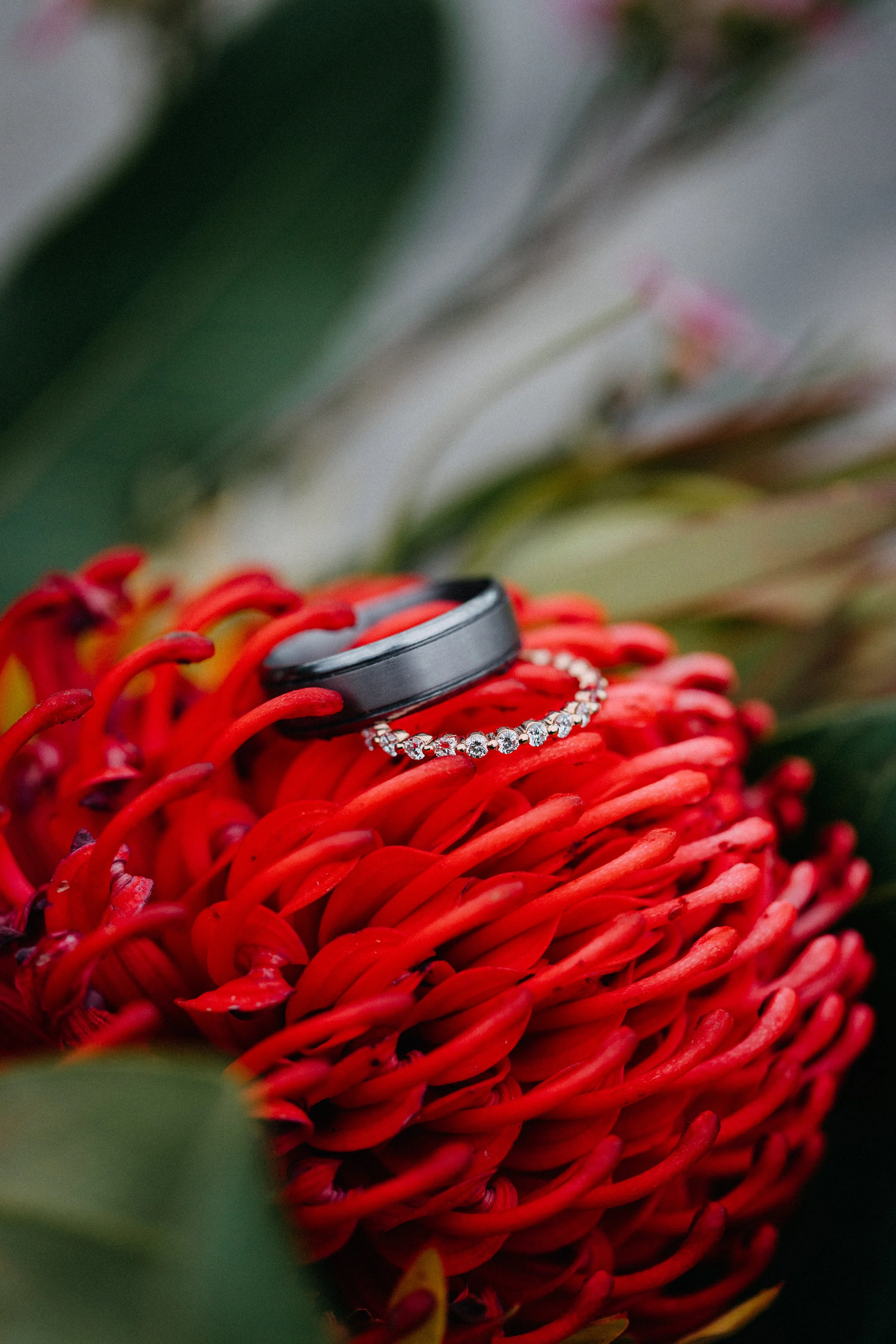 AMANDA&JOSH_WEB_143.JPG