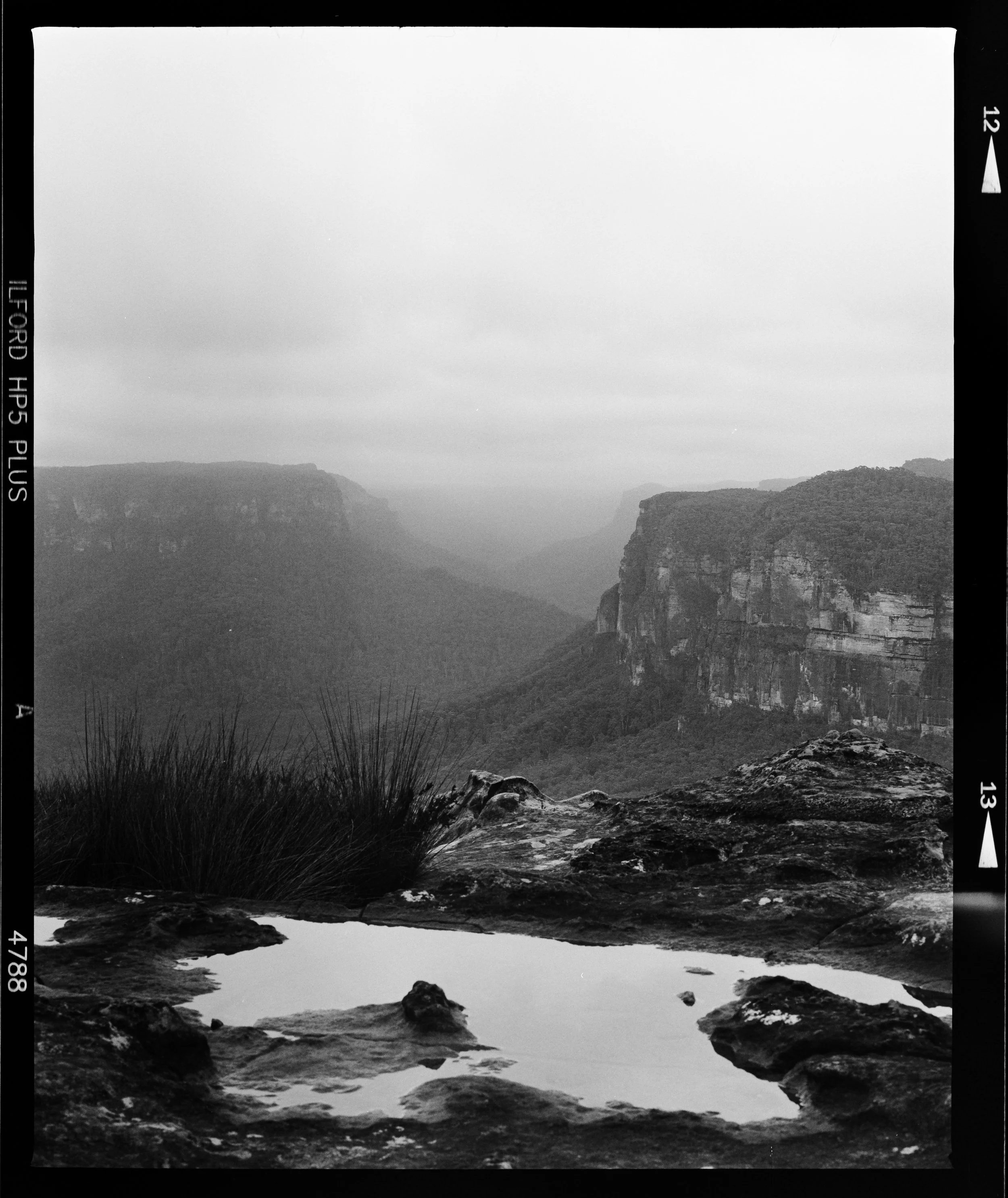 ILFORDHP5+120_MAMIYARZ67_1.JPG