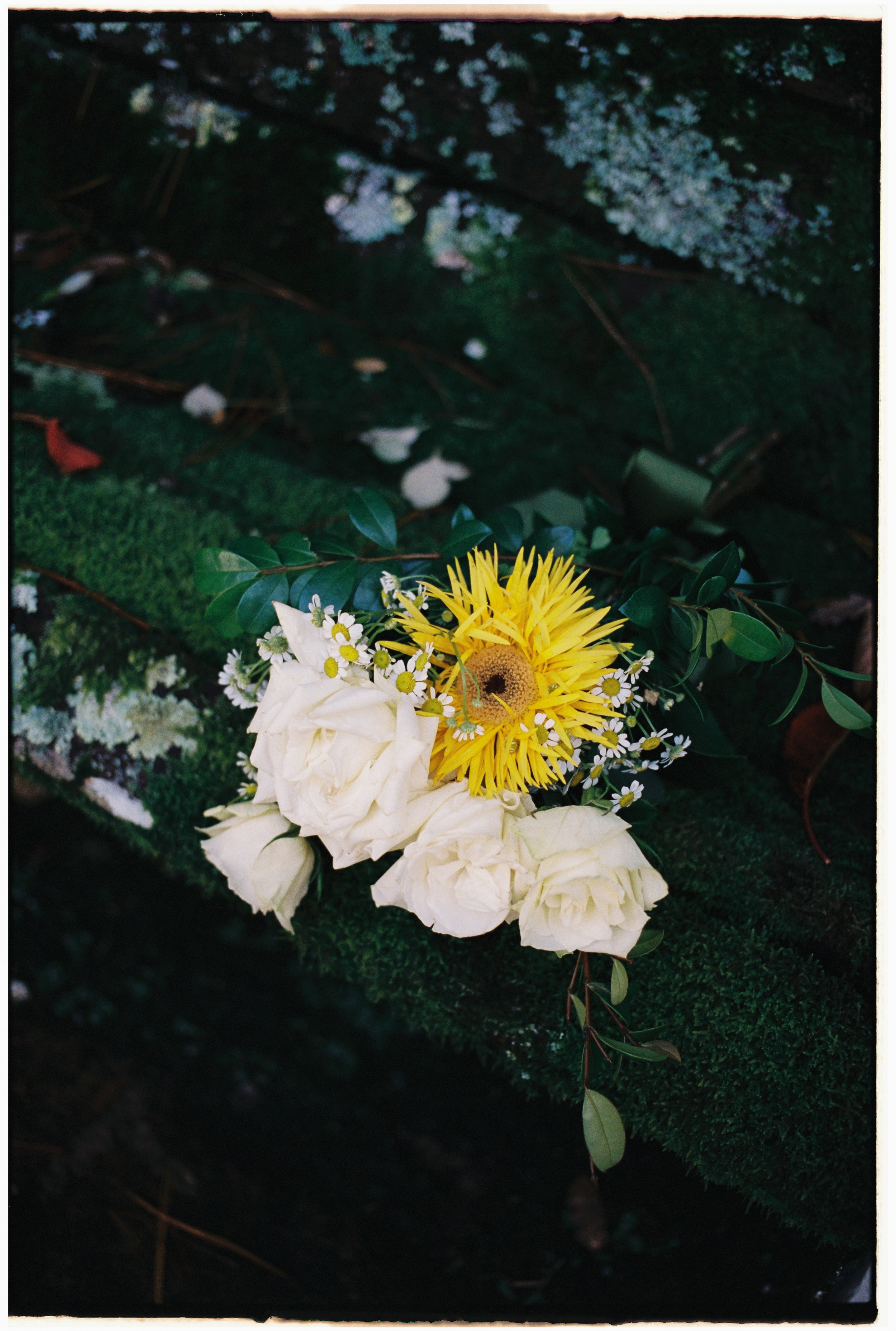 F&A_35MM_PORTRA400_WEB_1.jpg
