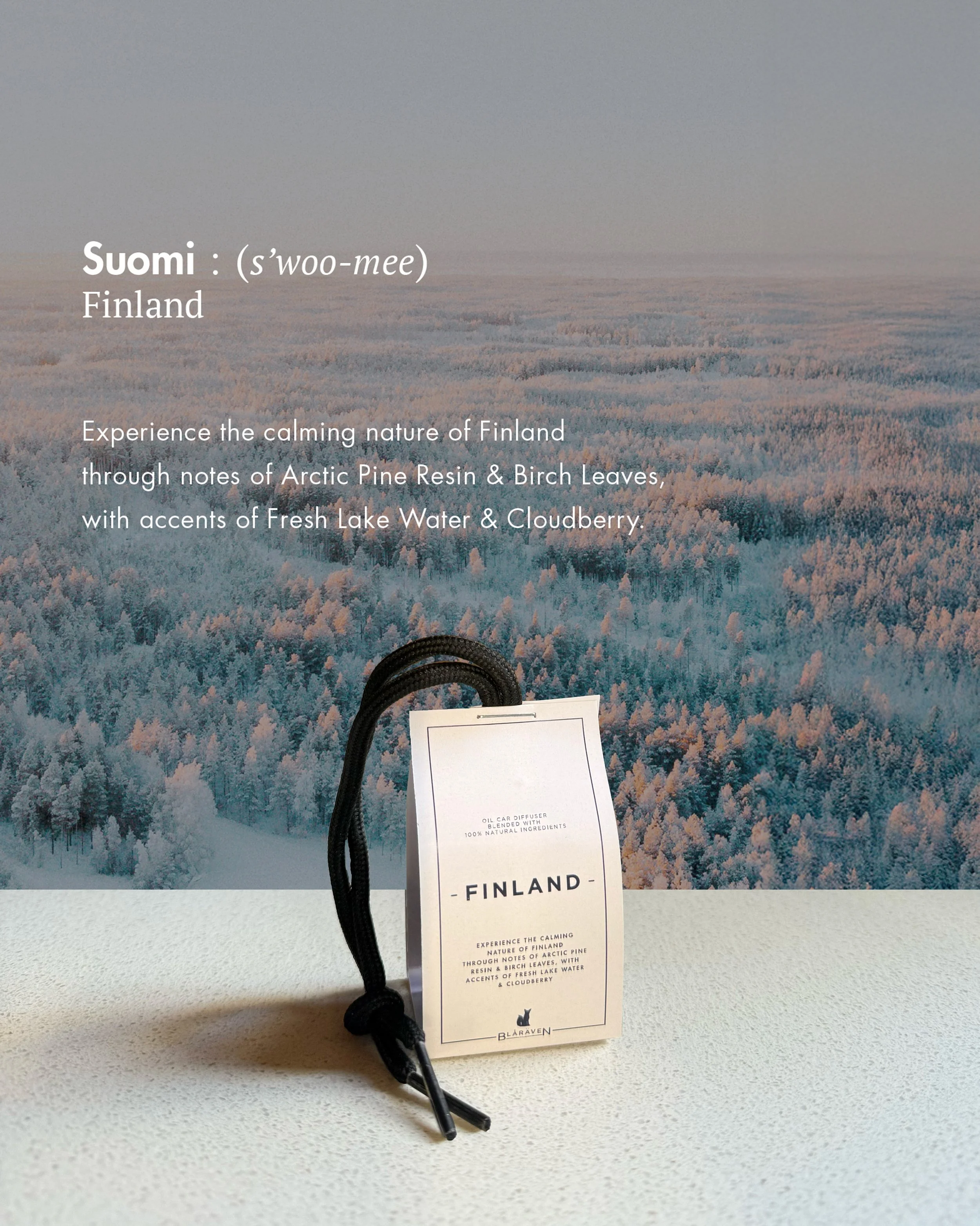 Finland Car.jpg