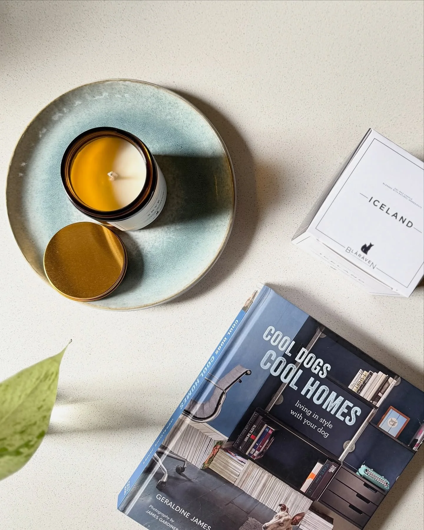 Set up for Lazy Sundays, with our latest release; our Iceland 40hr burn candle, complete with a cool book about cool things 🐶 🏠 

#bl&aring;r&auml;venstudios #transformingspaces #interiordesign #design #interior #interiorstyling #style #homewares #
