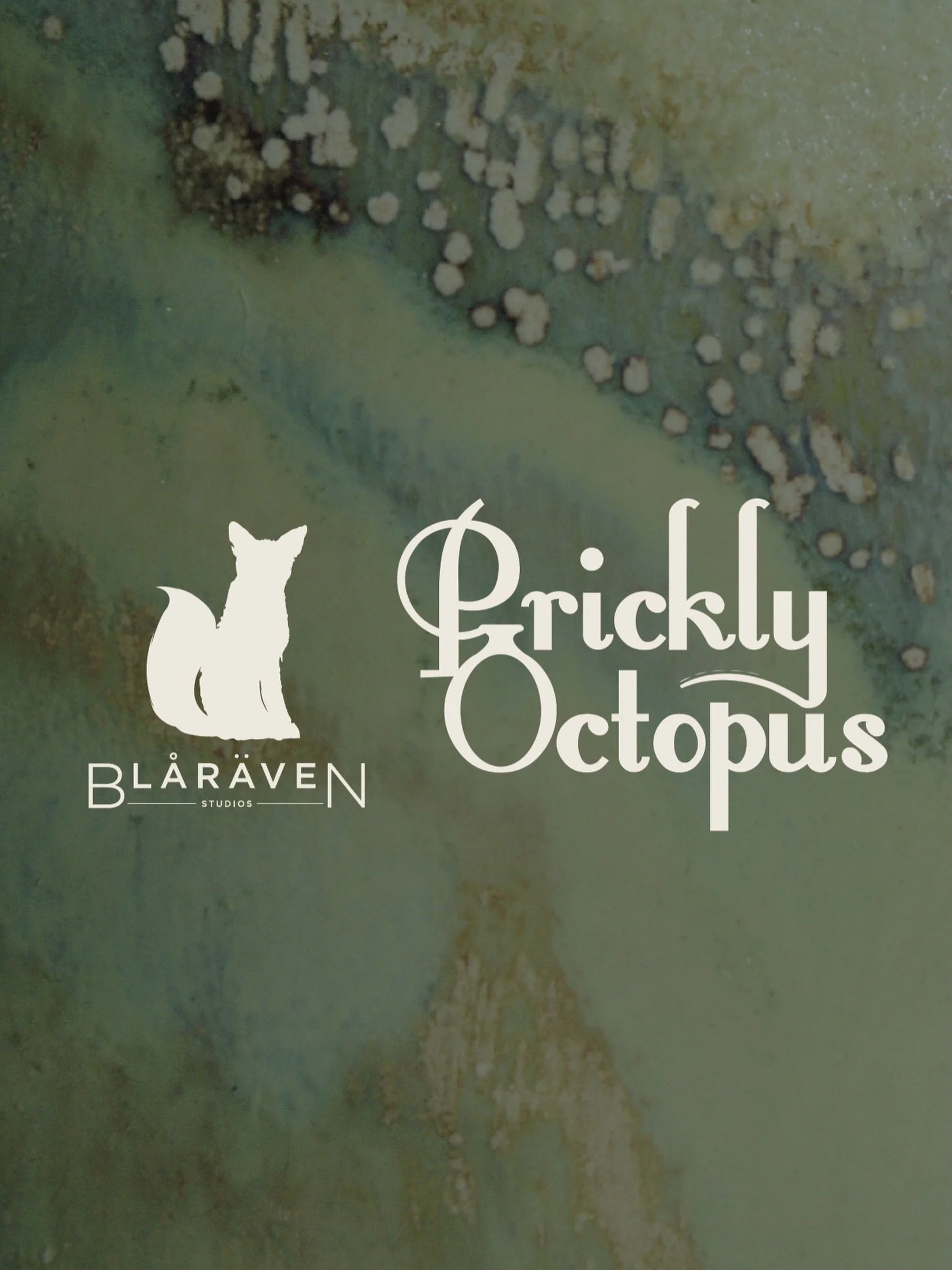 Something very exciting is coming soon 👀 

@pricklyoctopus 

#bl&aring;r&auml;venstudios #pricklyoctopus #comingsoon