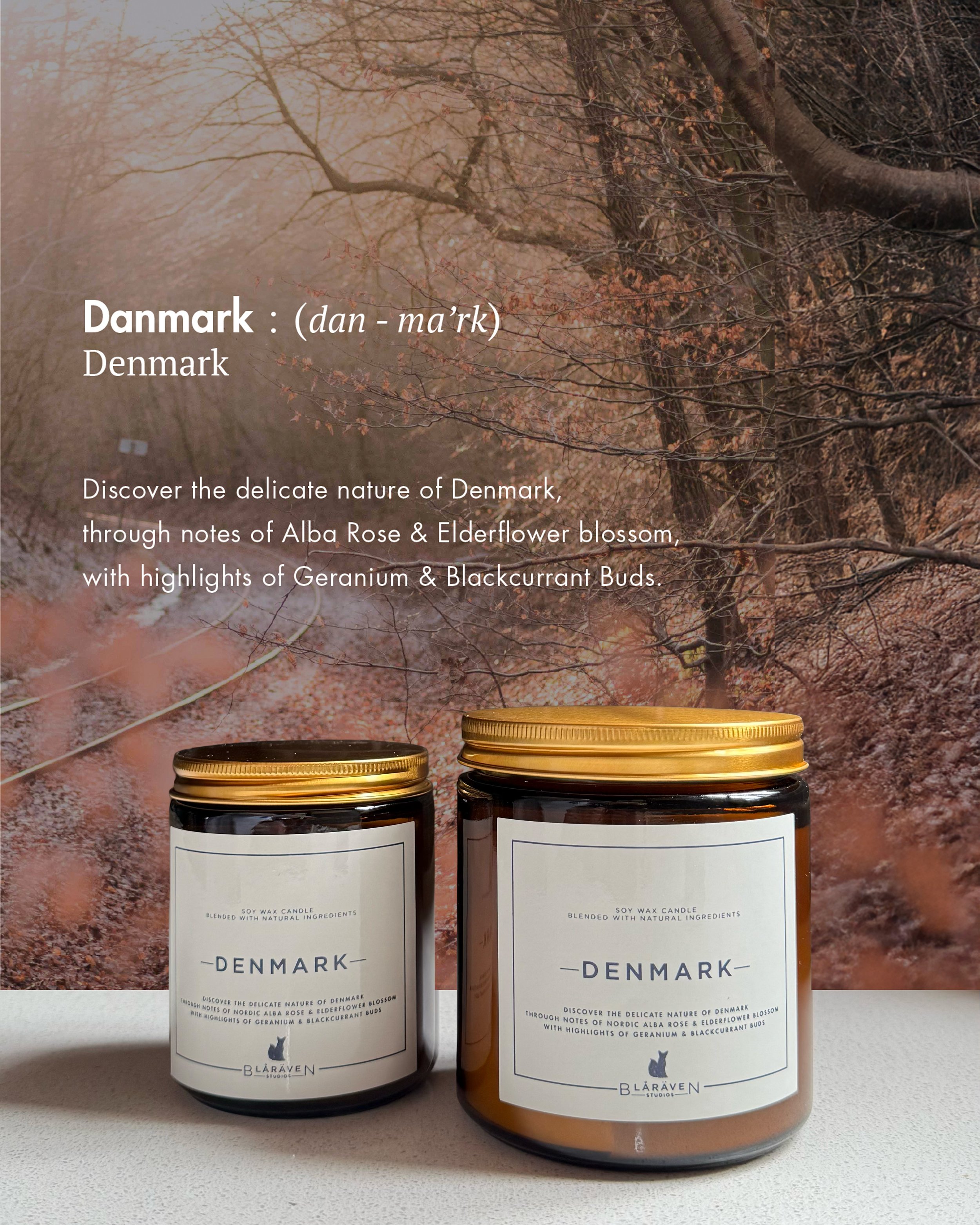 Danmark_Dual Jar.jpg