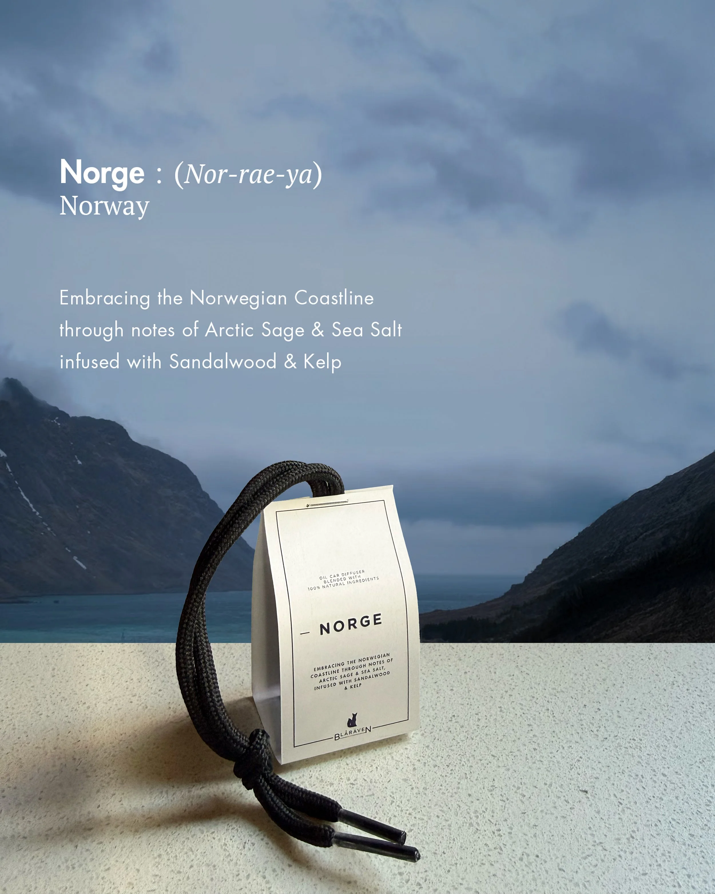Norge Car.jpg
