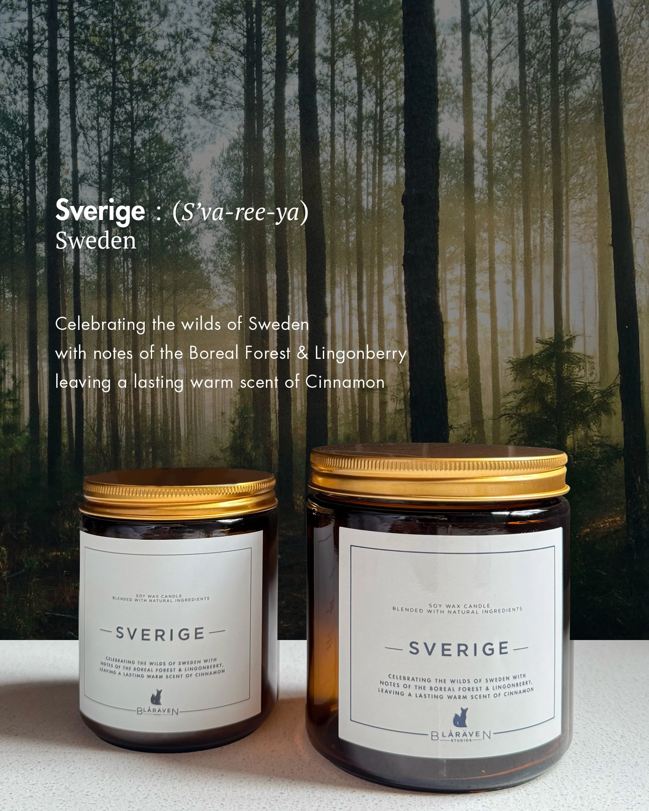 Sverige_Dual Jar.jpg