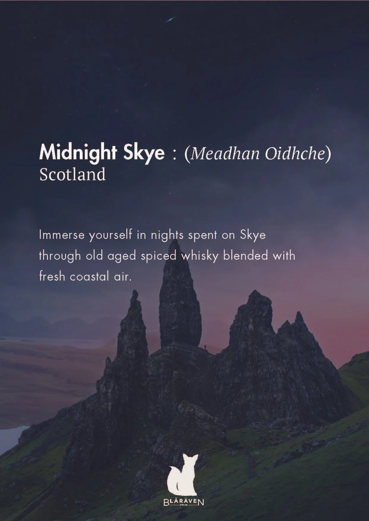 MidnightSkye Blurb.jpg (Copy)