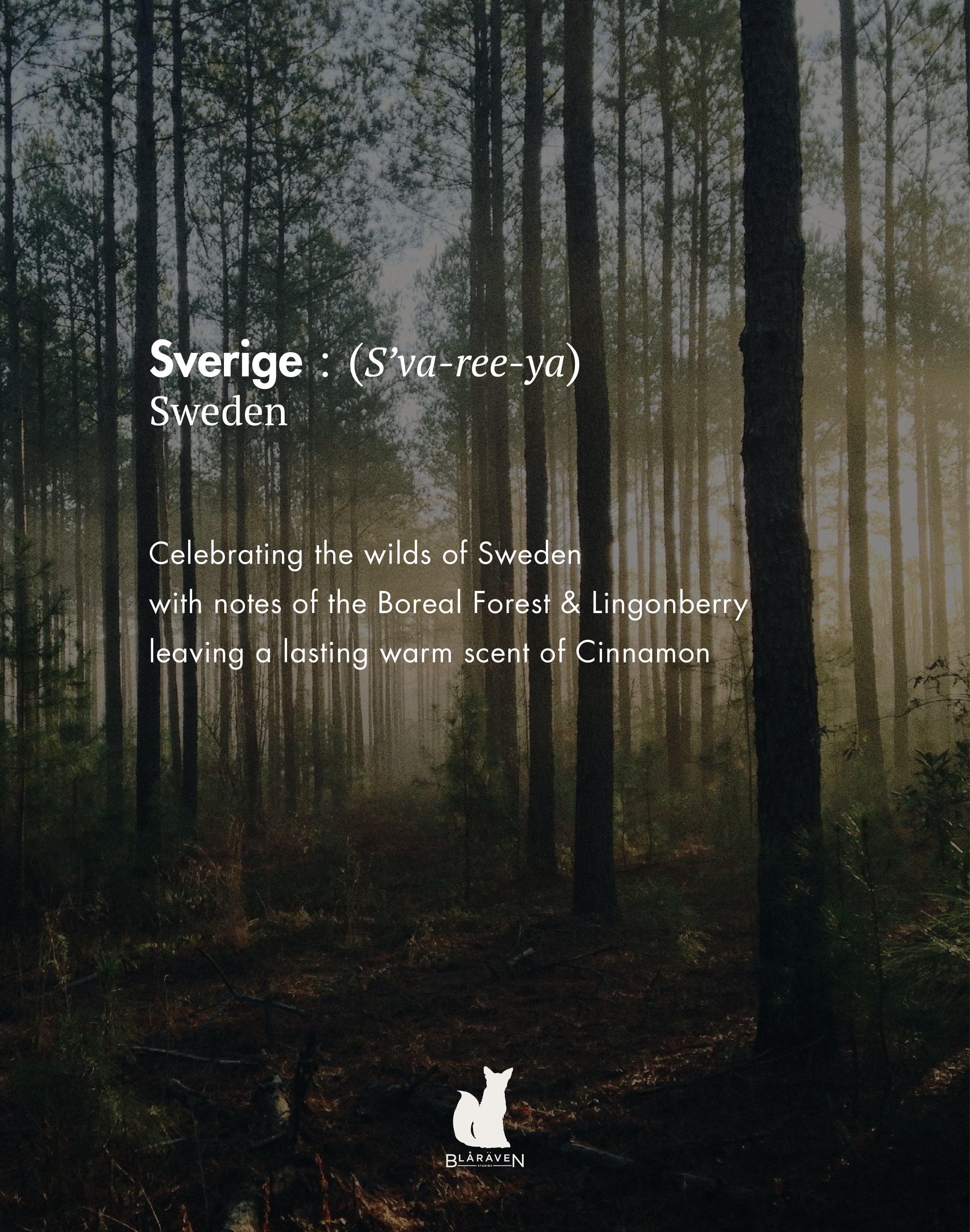 Sverige blurb1.jpg