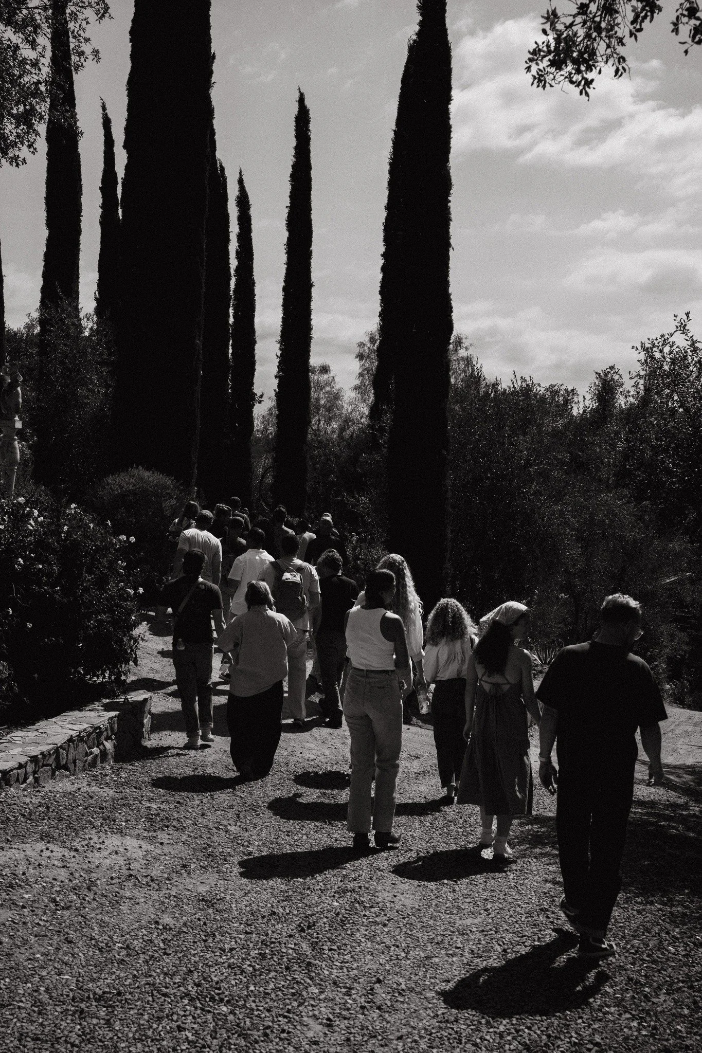 We entered the gates. 
We followed the inward music. 
We played with black paint. 
We noticed white roses dancing in the wind. 
We saw our neighbor. 

You are wildly creative. 
Wildly free. 
Wildly alive. 
Wildly loved. 

What do you hear? 
Listen. 
