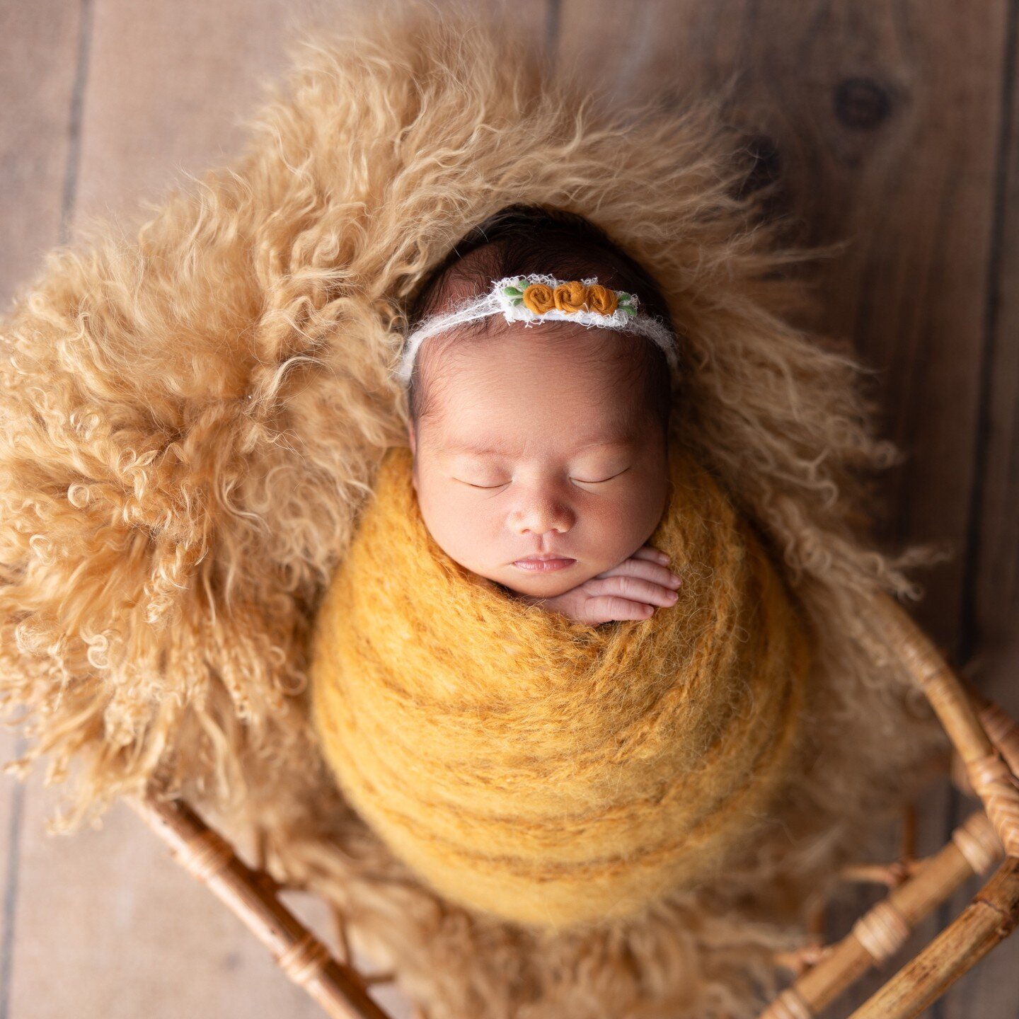 Sweet Maevlin

#mnphotographer #mplsphotographer #mplsbaby #mnbabyphotographer #mplsmaternityphotographer #mnmom #mnmaternityphotographer #maternityphotography #sittersession #sitterphotography #kidsphotography #babyphotography #newbornphotography #n