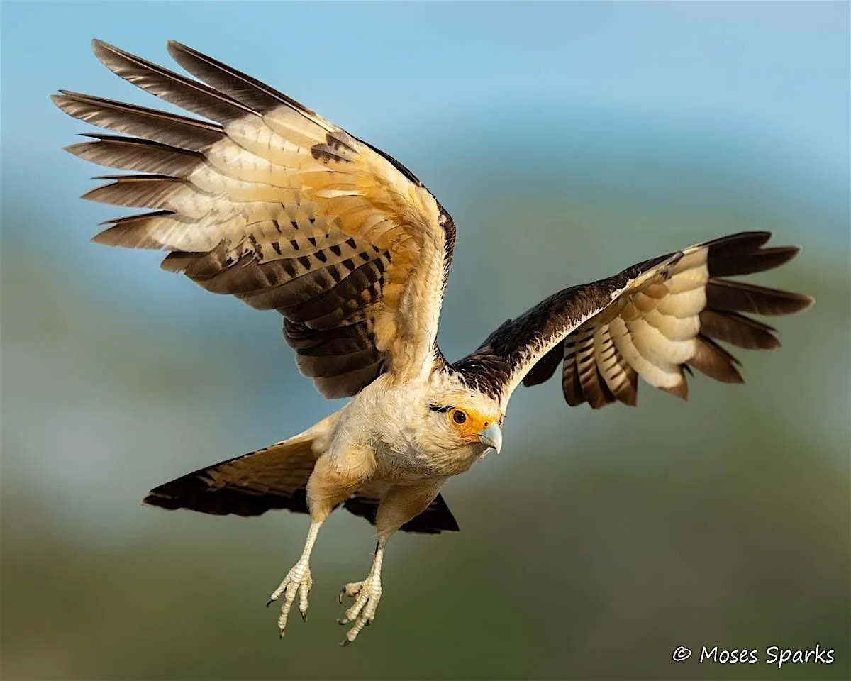 Photography Fundamentals with Moses Sparks