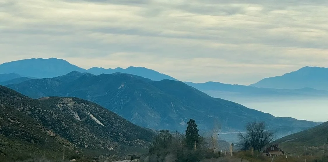 Art Night!: Chalk Pastel Landscapes with Edward Dillon