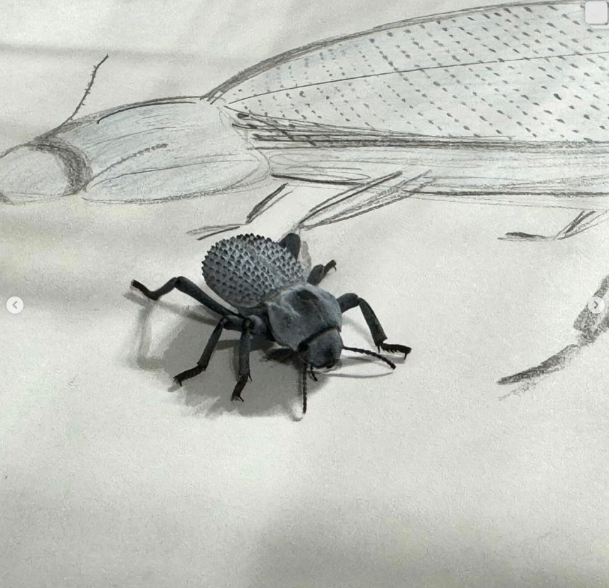 Bug Doodles with Slithers & Crawls