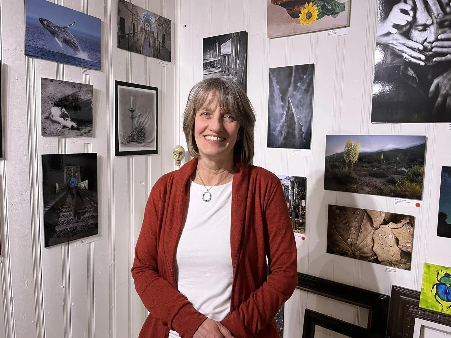 Anita Arnold Solo Exhibition