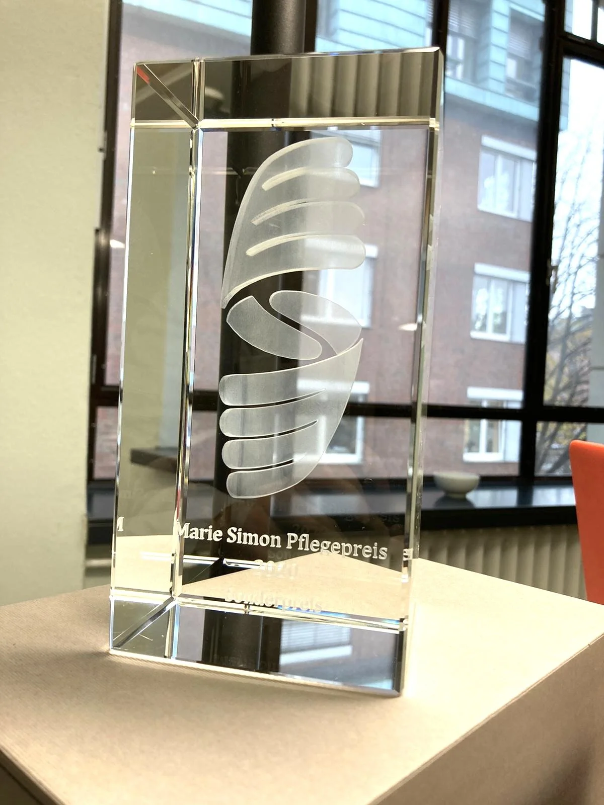 Marie-Simon Pflegepreis 2020