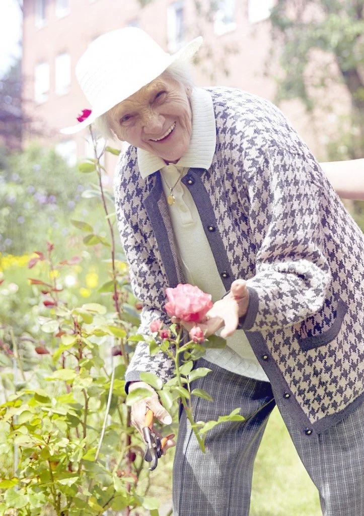 Eine ältere Frau im Garten, die eine Rose schneidet, trägt einen weißen Hut und eine gemusterte Strickjacke.
