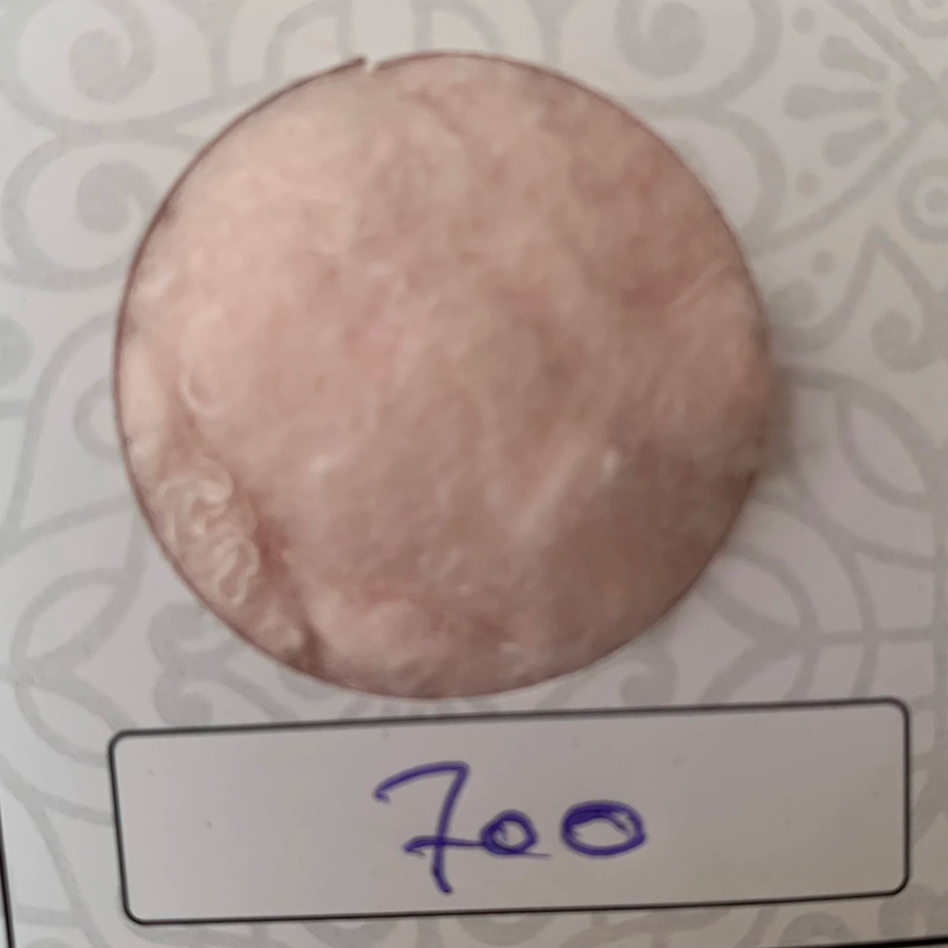 cotton fiber pastel pink