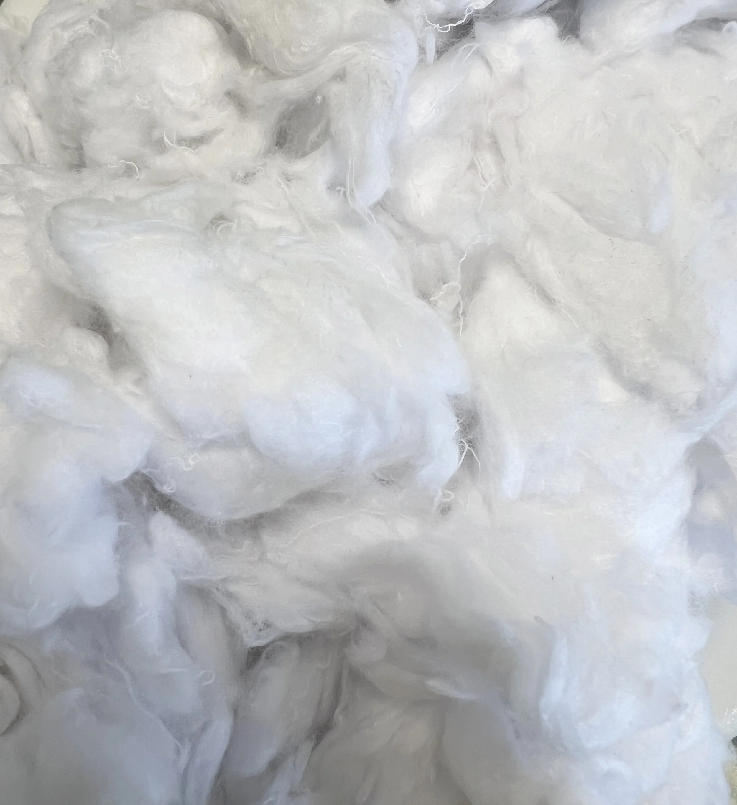 Optic white cotton fiber